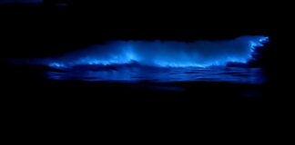 ROSSINAVI BLUE – Official Video