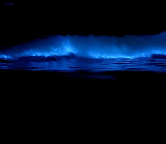 ROSSINAVI BLUE – Official Video